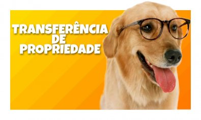 Transferência de Propriedade