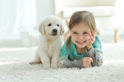Crianças e cães podem ser melhores amigos